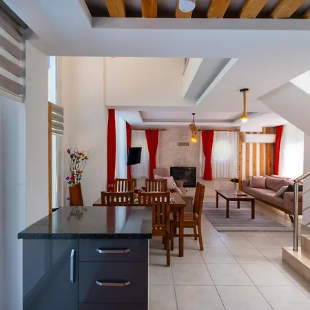 Villa Orkide *