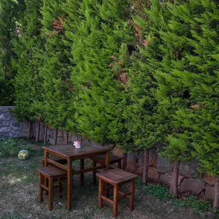 Orkide Villa *